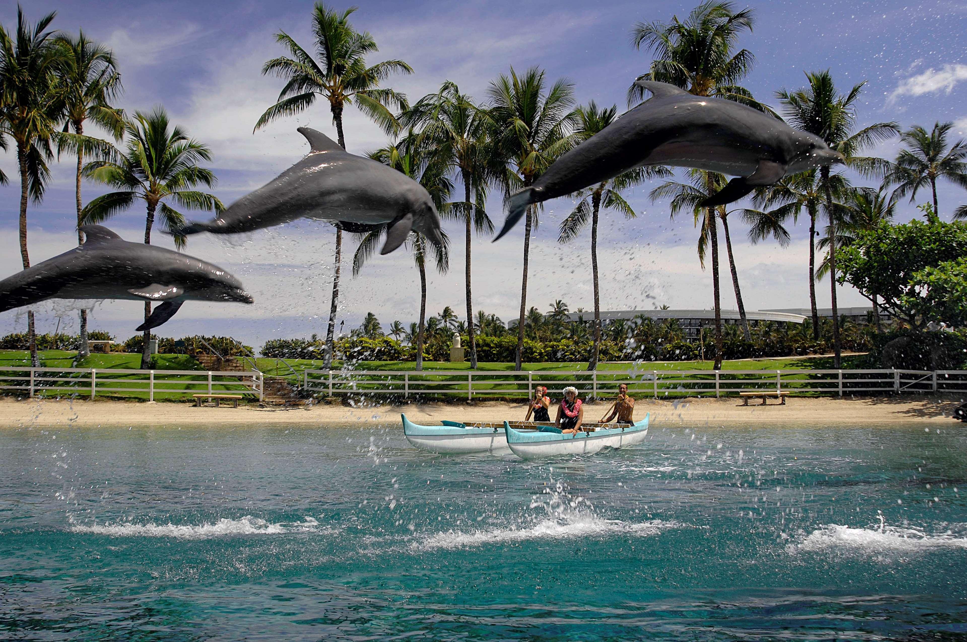 Hilton Grand Vacations Club Ocean Tower Village Resort Waikoloa